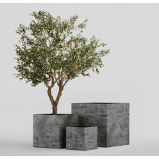 CUBE CONCRETE GREY DARK