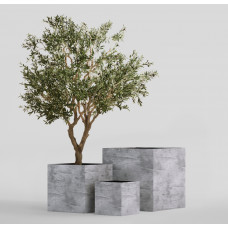 CUBE CONCRETE GREY LIGHT