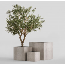 CUBE CONCRETE WHITE