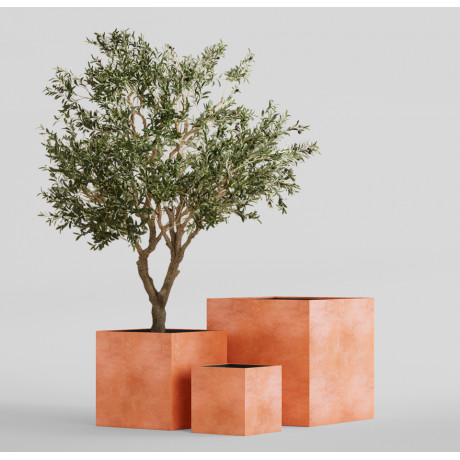 CUBE RED CLAY