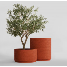 CYLINDER XL EROSIA CORAL