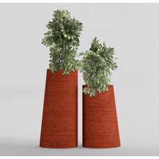 DUET EROSIA CORAL