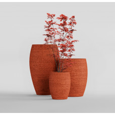 OVAL EROSIA CORAL