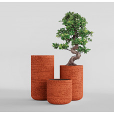 TOPPER EROSIA CORAL