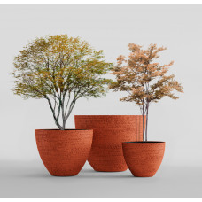 UPON EROSIA CORAL