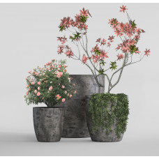 VASE 3 CONCRETE GREY DARK