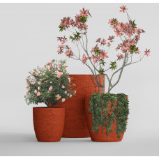 VASE 3 EROSIA CORAL