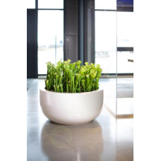 Premium floor planter XL, Ø 100 cm, height 50 cm, white